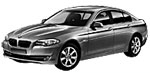 BMW F10 P1DAC Fault Code